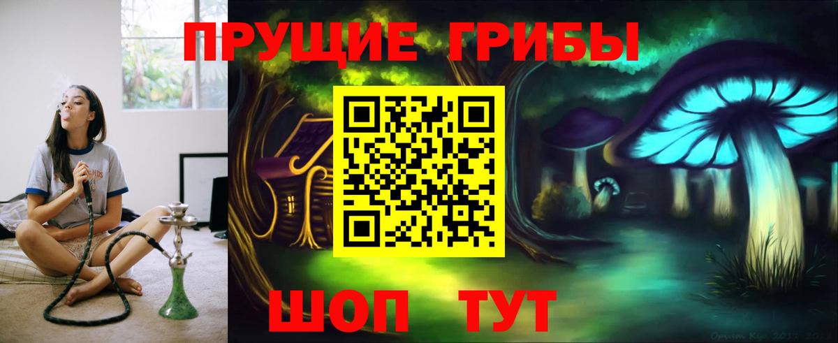 Галлюциногенные грибы мицелий Выкса